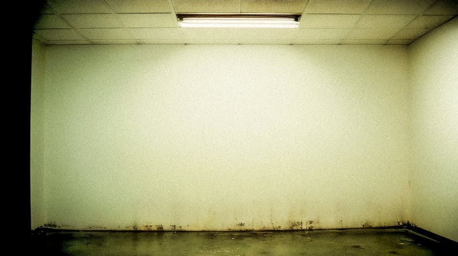 Clean basement interior after dehumidification installation
